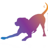 Dogaholics Dog Training and Behaviour Services