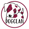 Dogclan Guarderia Canina Madrid