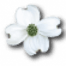 Dogwood, BX - Restaurant Bathurst