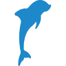 Dolphinarium Varna