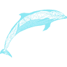 Dolphin Braces