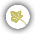 Domaine Du Fraysse