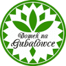 Domek na Gubałówce