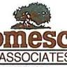 Domescik & Associates Inc