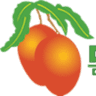 Dominican Tropical Fruits