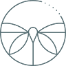 Domus Center
