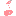 Doniceta