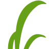 Doug's Lawn & Landscaping Services