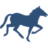 Down Under Stables