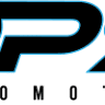 DPS Automotive