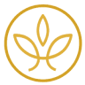 AyurvedaPraxis Dr. med. Svea Henschel