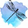 Dragonfly Boutique