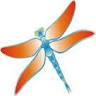 Dragonfly Electrolysis