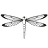 Dragonfly Gems LLC