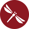 Dragonfly The Leaders Sungai Ara