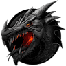 Academia Dragons Gym