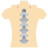 Dr Devashish Sharma - Spine Surgeon in Bulandshahr | Back Pain Specialist