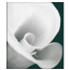 Center for Esthetic Dentistry