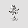 Driftless Coffee Co