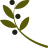 Dr. Sierra Breitbeil, ND Methow Valley Wellness Center