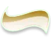 Steven M. Erlandson, DDS