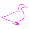 Duck Duck Goose