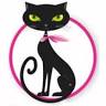Sex Shop Neiva Dulce Gatita