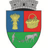 Primaria Sânicolau Român