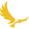 Eagle Secure Solutions, LLC