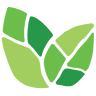 Eagle Valley Community Foundation
