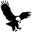 Eagle Valley Inc