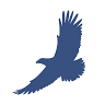 Eagle View Behavioral Health
