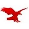 Eagle Watch Roofing Inc
