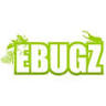 ebugz
