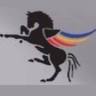 Riding Club Kirov
