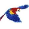 EcoAmerica Tours