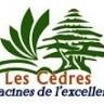 Private School Les Cèdres Mother & Primary