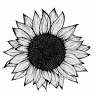 Ecopipa