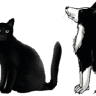 Eden Animal Rescue - Kirkby Stephen Shop