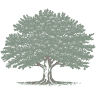 Edgewood Family Dentistry
