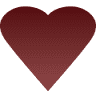 Edmonton Cardiology Consultants