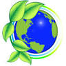 EcoFresh Carpet Cleaning