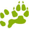 Eerlijk Dierenvoer