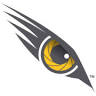Eagle Eye Security Solutions Ltd.