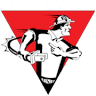 Electric Brothers