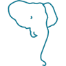 Elephant on the beach