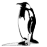 Elegant Penguin