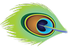 Elements Chiropractic Currumbin