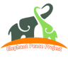 Elephant Peace Project