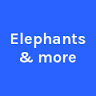 Elephants & more, LLC